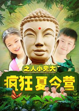 疯狂夏令营之人小鬼大 封面