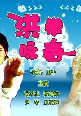 洪拳咏春 封面