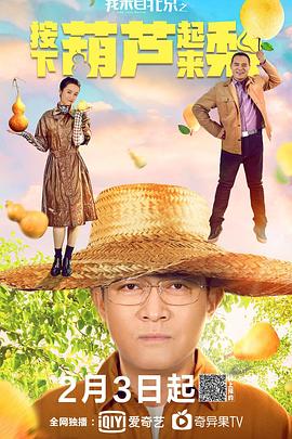 我来自北京之按下葫芦起来梨 封面
