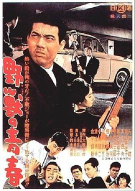 野兽的青春 封面