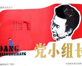 党小组长 封面