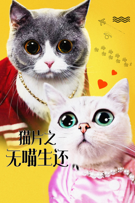 猫片之无喵生还 封面