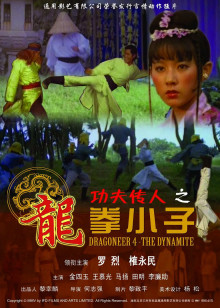 功夫传人之龙拳小子 封面