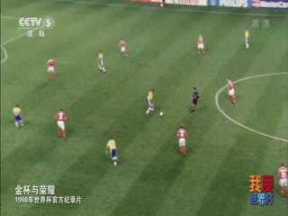 1998年世界杯官方纪录片 HDTV