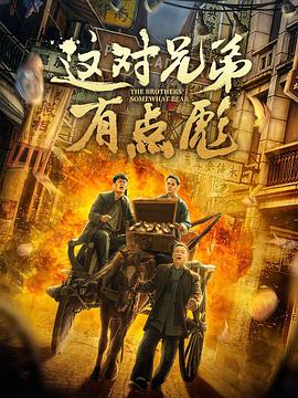 这对兄弟有点彪 封面