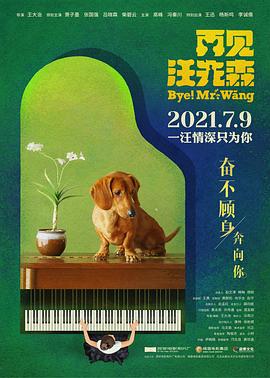 再见汪先森 封面