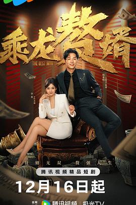 乘龙赘婿的封面图