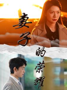 妻子的荣耀的封面图