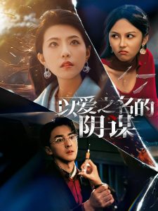 以爱之名的阴谋的封面图