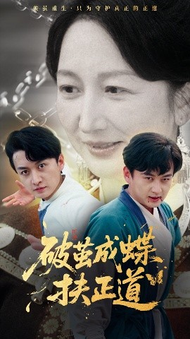 破茧成蝶扶正道的封面图