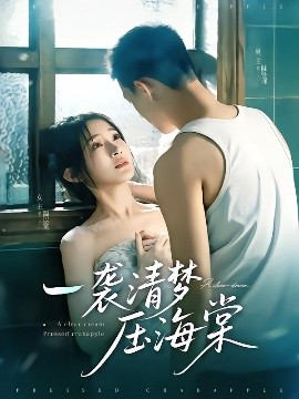 一袭清梦压海棠 封面
