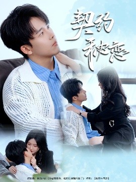 契约秘恋 封面