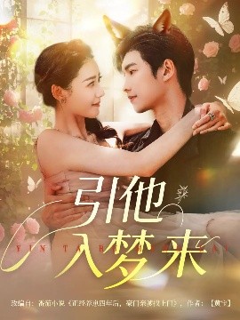 引他入梦来 封面
