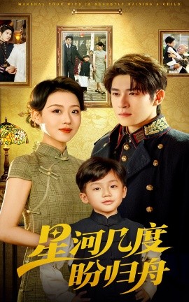 星河几度盼归舟 封面