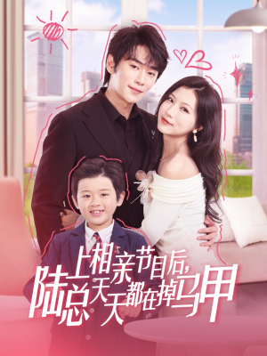 上相亲节目后陆总天天都在掉马甲 封面