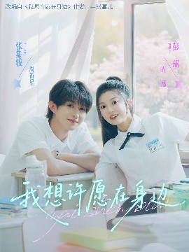 我想许愿在身边 封面