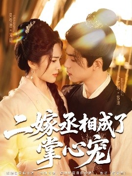 二嫁丞相成了掌心宠