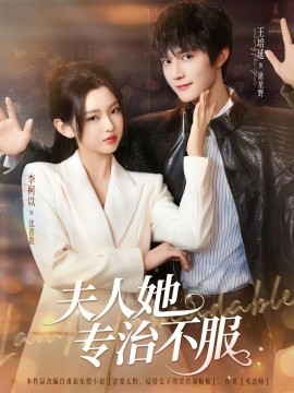 夫人她专治不服 封面