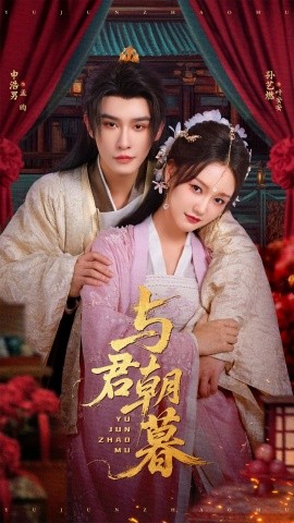 与君朝暮 封面