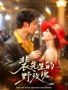 裴先生的野玫瑰 封面