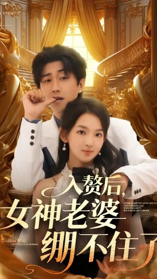 入赘后女神老婆绷不住了 封面