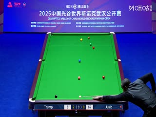 2025斯诺克武汉公开赛延期资格赛及64进32 贾德·特鲁姆普5-1法拉赫·阿贾布 20250824