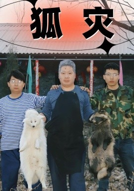 狐灾 封面