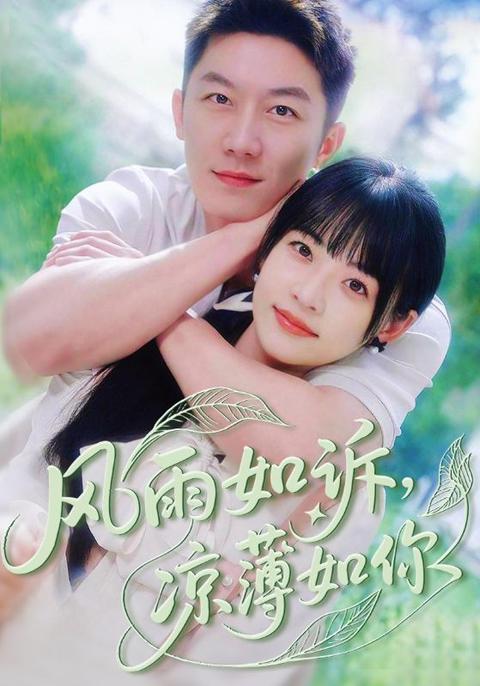 风雨如诉凉薄如你 封面