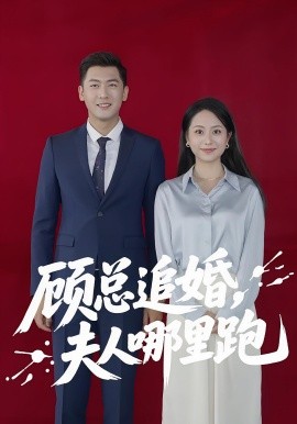 顾总追婚夫人哪里跑 封面