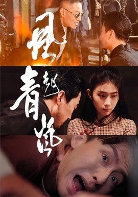 风起青岚 封面