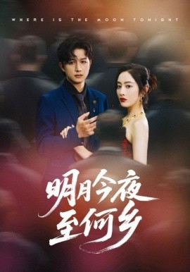 明月今夜至何乡 封面
