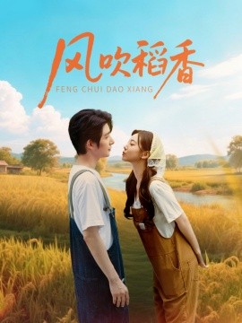 风吹稻香 封面