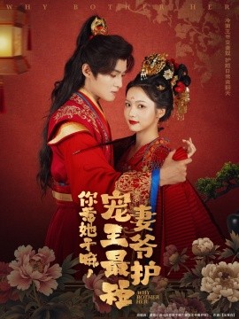 你惹她干嘛，宠妻王爷最护短