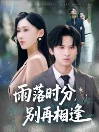 雨落时分别再相逢 封面