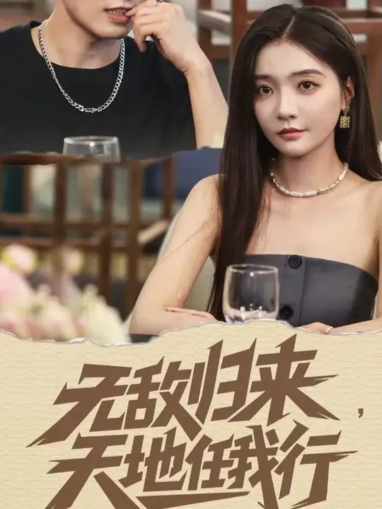 无敌归来天地任我行 封面