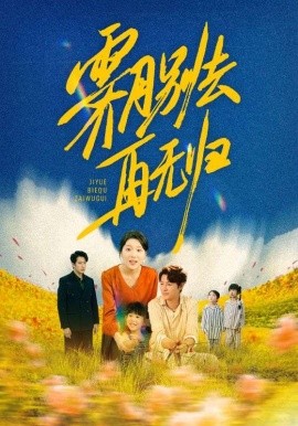 霁月别去再无归 封面