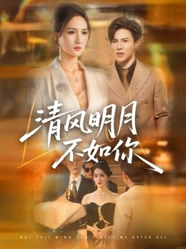 清风明月不如你 封面