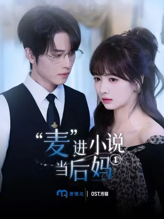 麦进小说当后妈海报