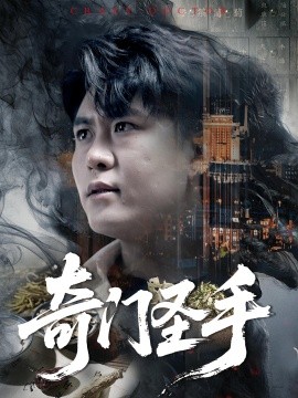 奇门圣手 封面