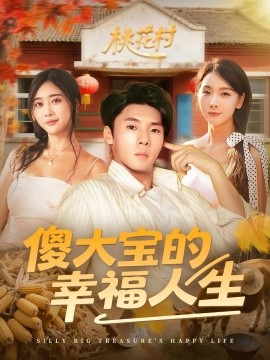 傻大宝的幸福人生 封面