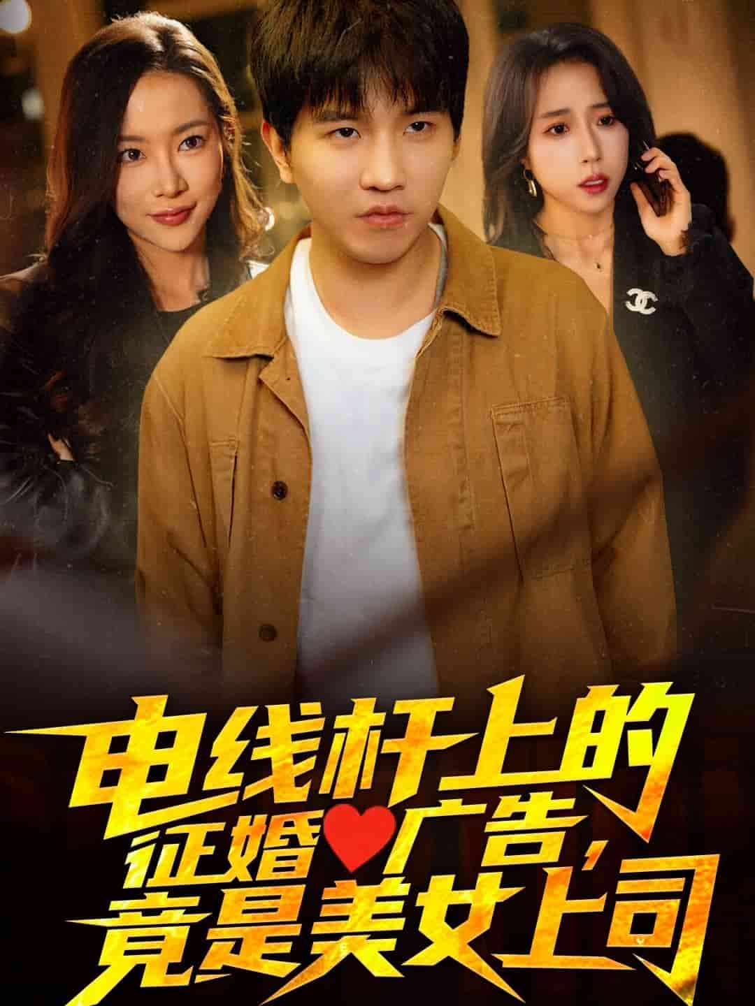 电线杆上的征婚广告，竟是美女上司的封面图