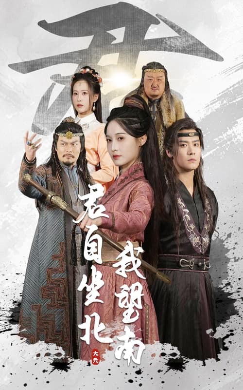 我自迎风向故里海报