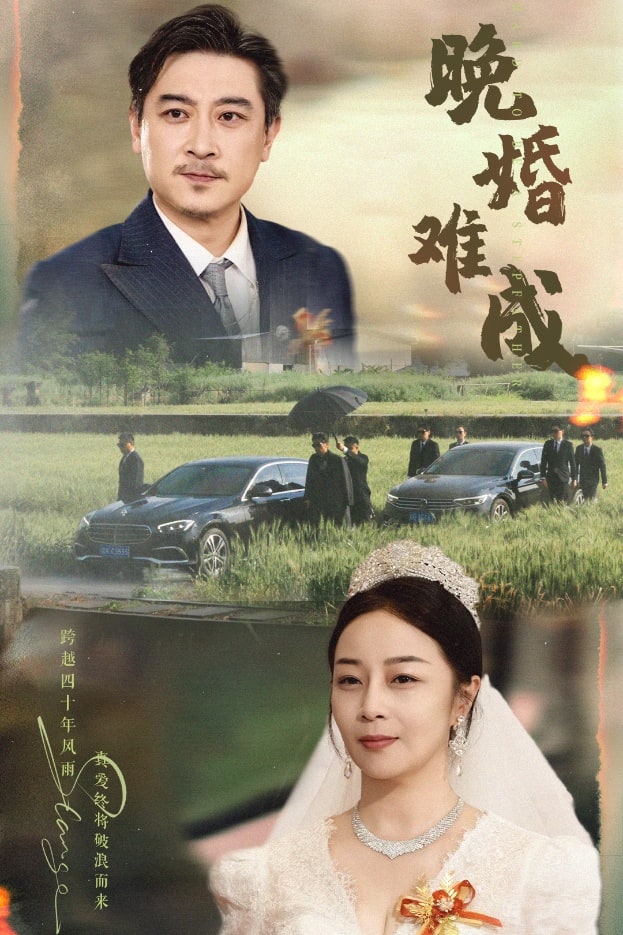 晚婚难成的封面图