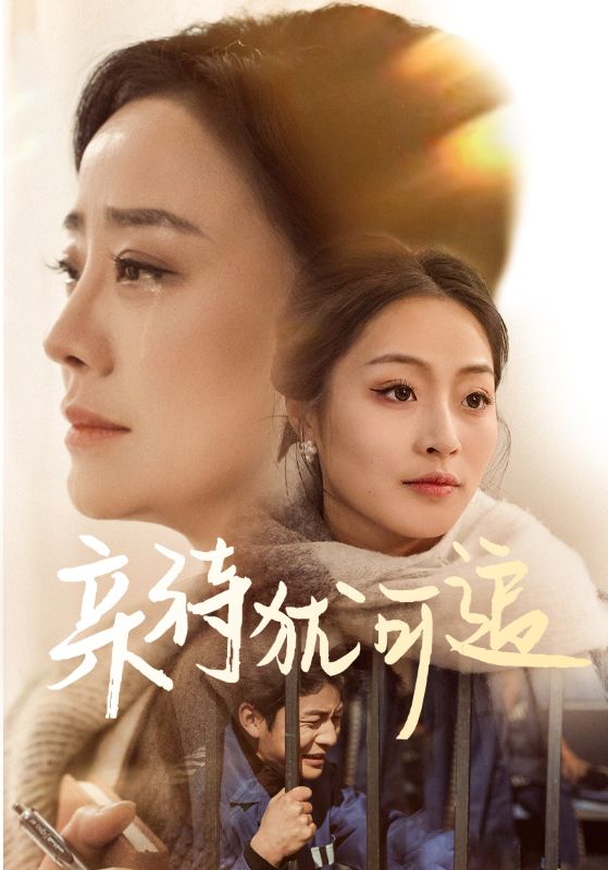 亲待犹可追的封面图