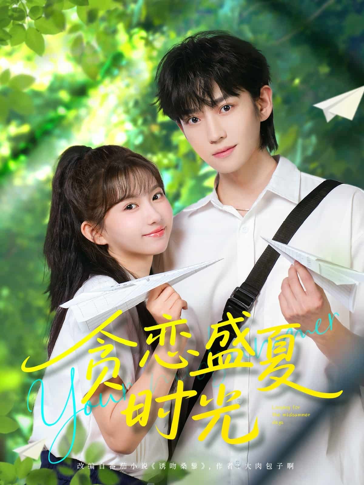 贪恋盛夏时光的封面图