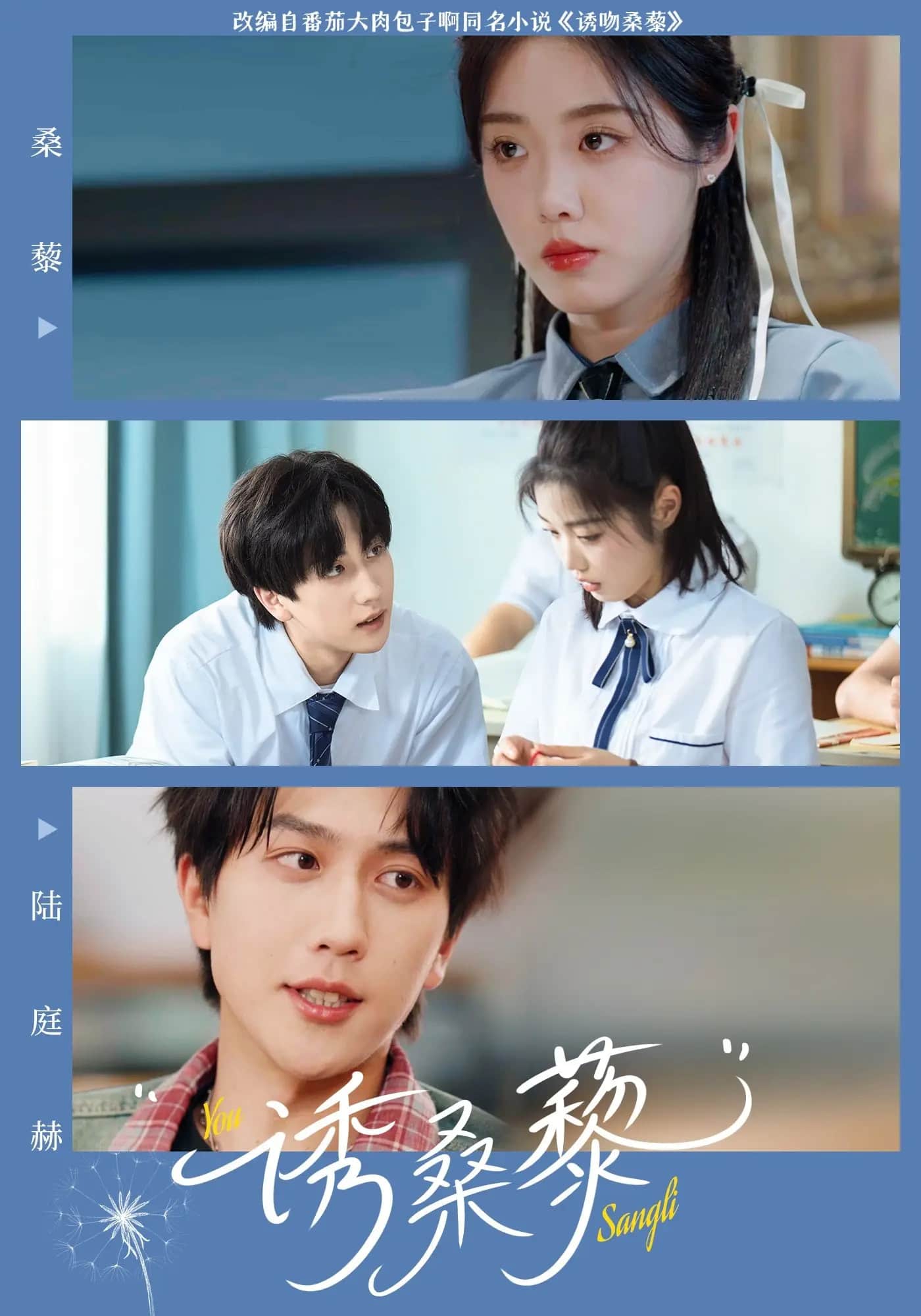 诱桑藜的封面图