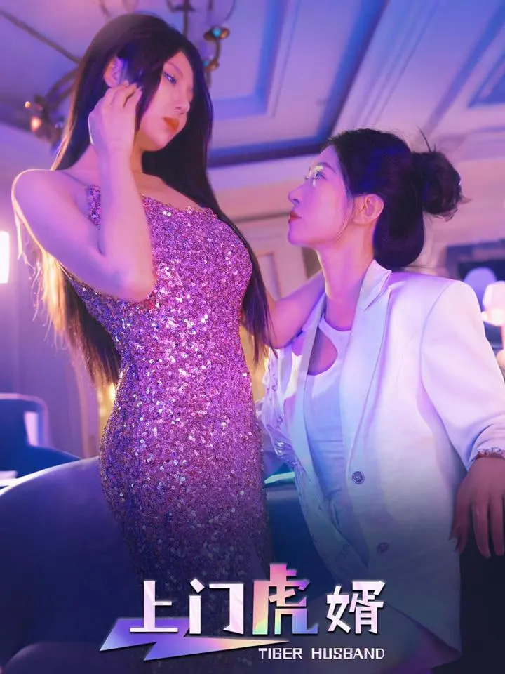 上门虎婿海报