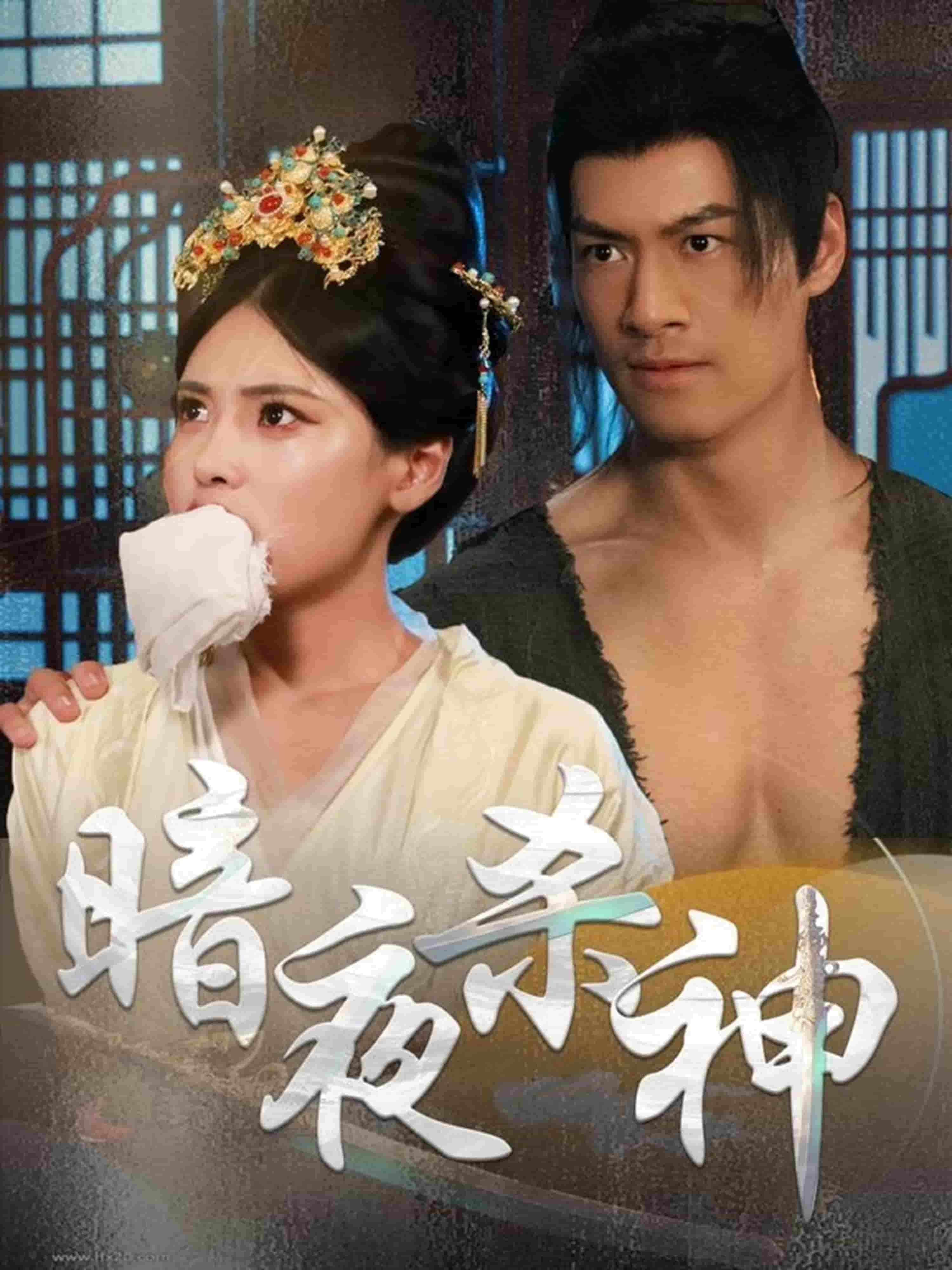 暗夜杀神的封面图