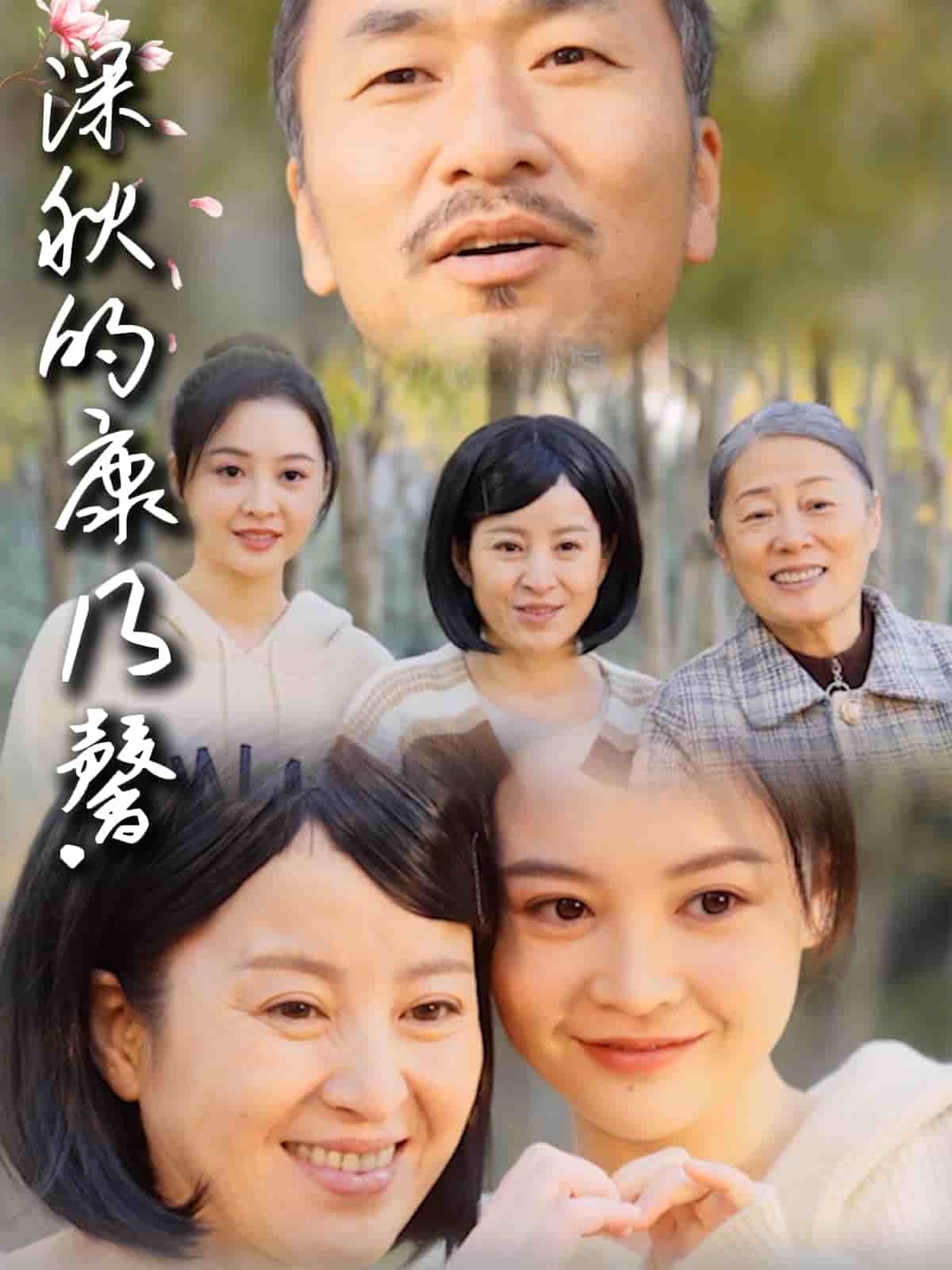深秋的康乃馨的封面图