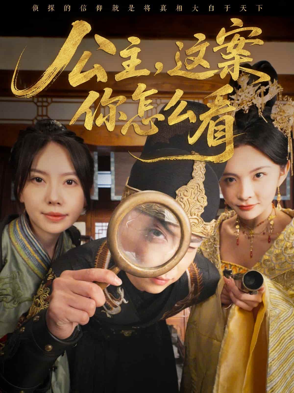 公主，这案你怎么看的封面图